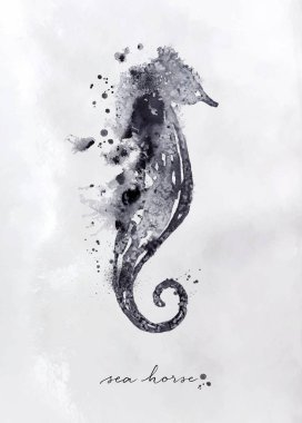 Monotype denizatı siyah