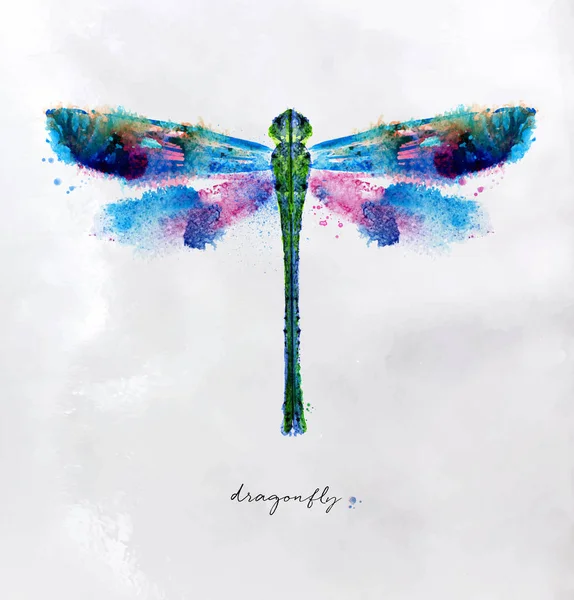 Monotype levande dragonfly — Stock vektor