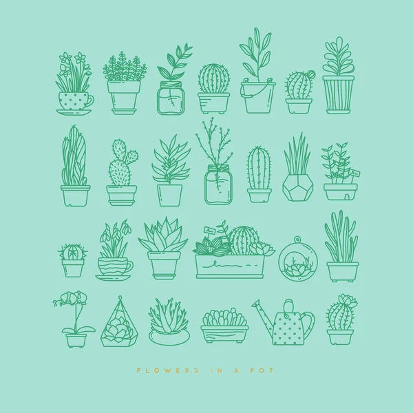 Icon plants in pots turquoise — Stock Vector