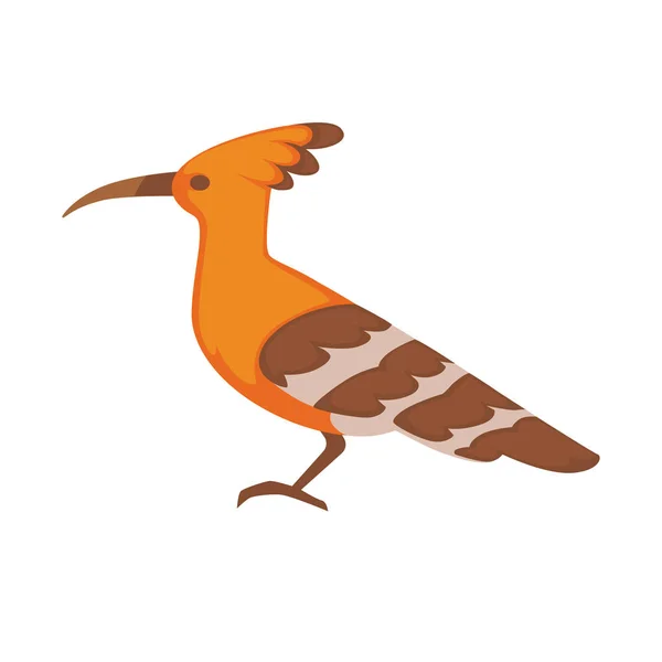 Kolorowe Eurazji Hoopoe — Wektor stockowy