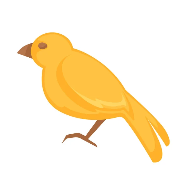 Yellow Canary bird — Stock Vector