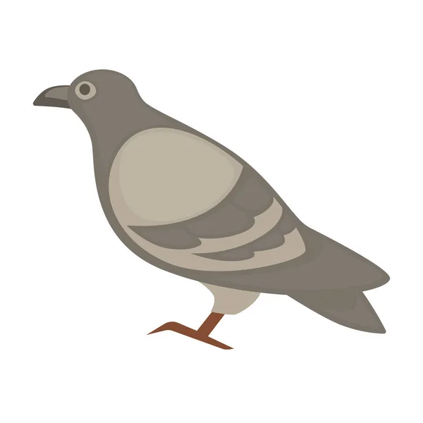 Hermosa paloma gris — Vector de stock