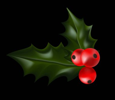 yaprakları ve kırmızı meyveler