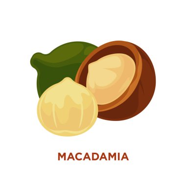 yararlı organik Macadamia 
