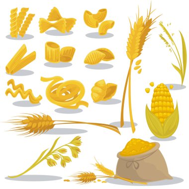 Organik İtalyan makarna ve spikelets
