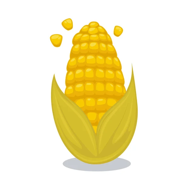 Érett kukorica a kukoricacsutkán — Stock Vector