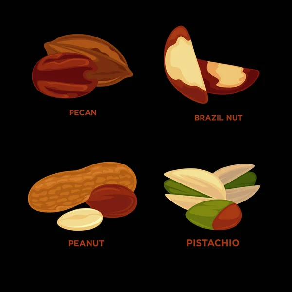 Conjunto de nueces maduras y semillas — Archivo Imágenes Vectoriales