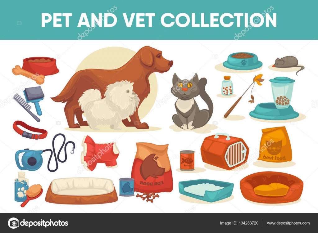 Domestic animals with equipment for care Stock Vector Image by ©Sonulkaster #134283720 Domestic animals with equipment for care Stock Vector Image by ©Sonulkaster #134283720