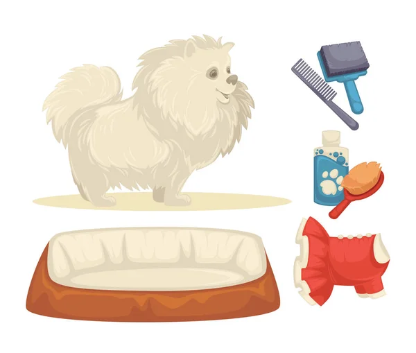 Set accessoires voor honden — Stockvector