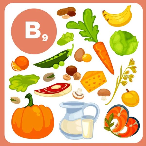 Vitamina B12, fuentes de ácido fólico — Archivo Imágenes Vectoriales