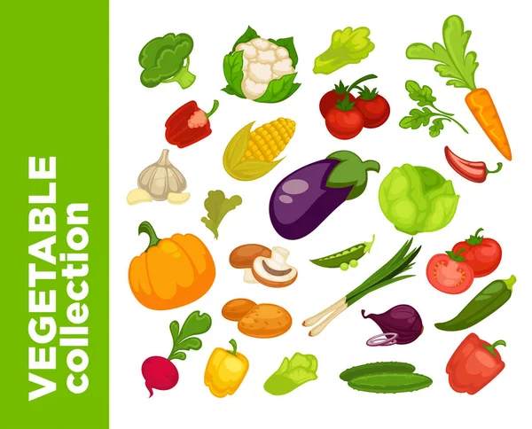 Diferentes verduras icono — Archivo Imágenes Vectoriales