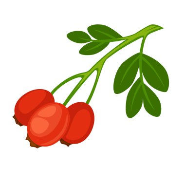  logo insan bakım