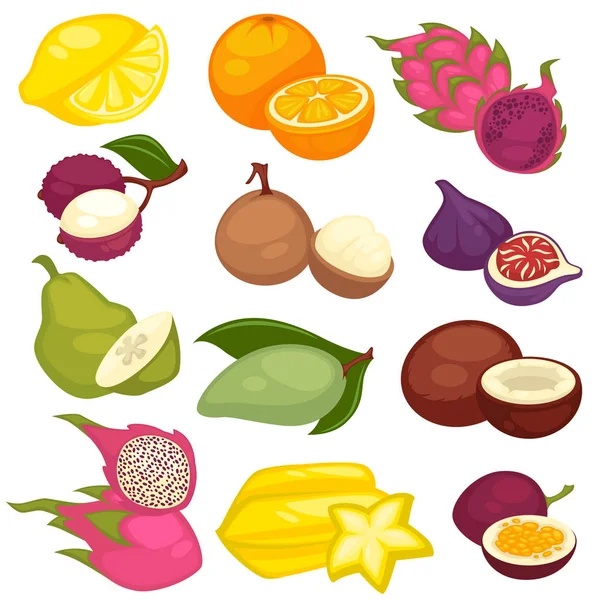 Fruits tropicaux — Image vectorielle