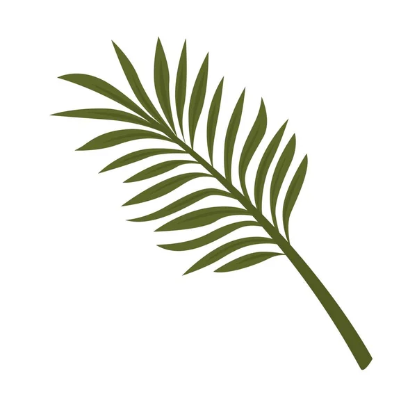 Fern leaf isolated on white background. Vector Graphics
