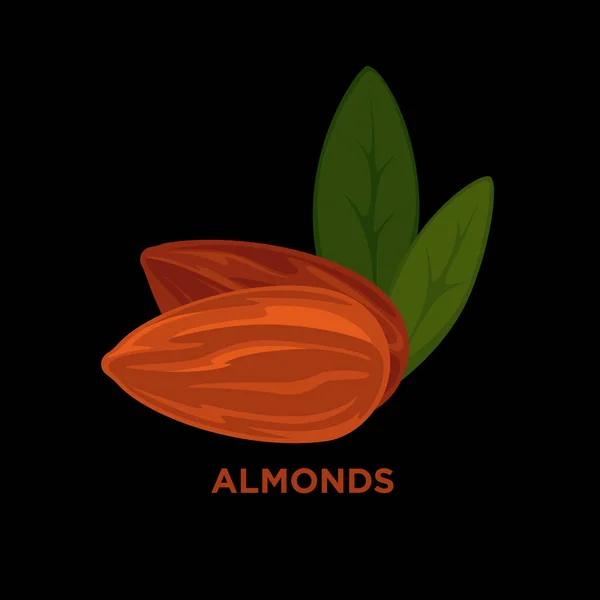 Almendras, dibujos animados — Vector de stock