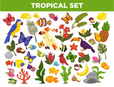 Tropikal Icon Set