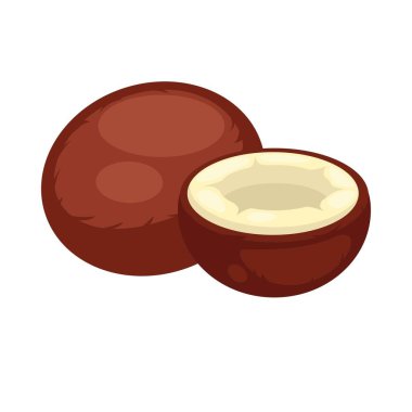 Hindistan cevizi basit simgesi