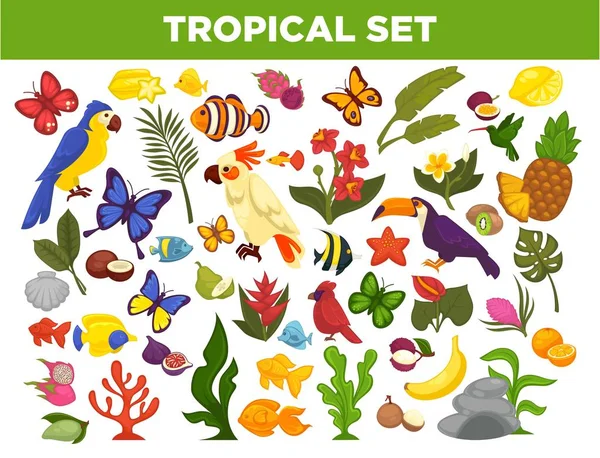 Tropické Icon Set — Stockový vektor