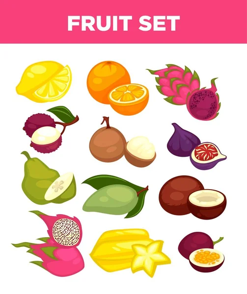 Exotic tropical fruits set — Stock Vector