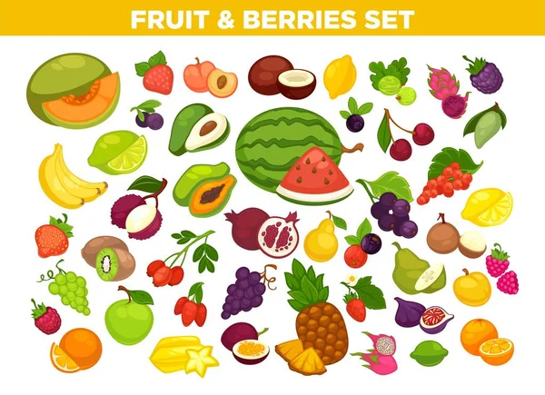 과실 과 열매 형상 — 스톡 벡터