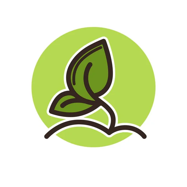 Φυτό με φύλλα σε πράσινο κύκλο — Διανυσματικό Αρχείο