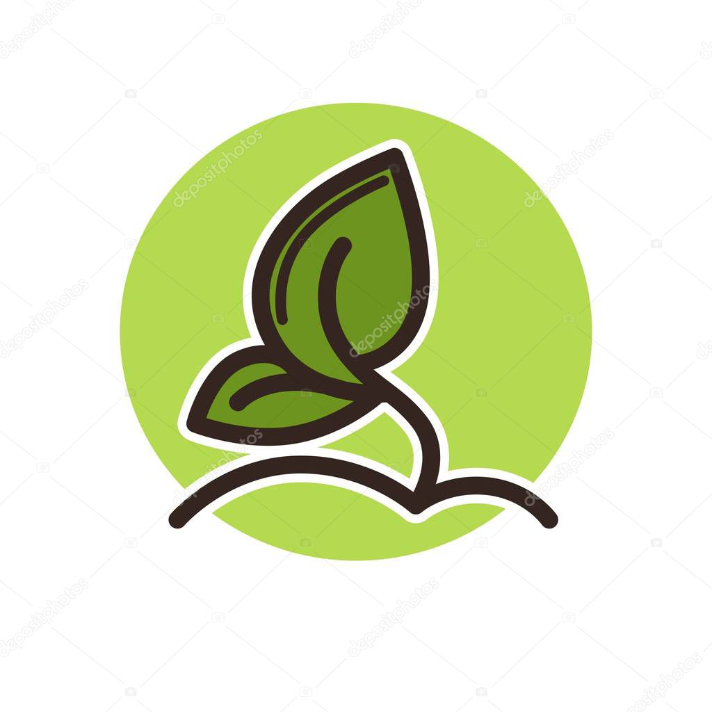 Plant with leaves grows from ground in green circle isolated on white background.