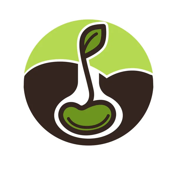 씨앗에서 성장 하는 녹색 식물 — 스톡 벡터