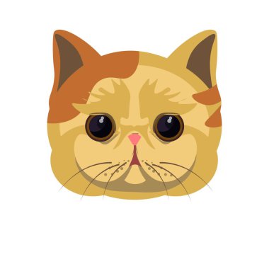 egzotik stenografi kedi