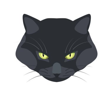 Bombay kara kedi doğurmak portre 