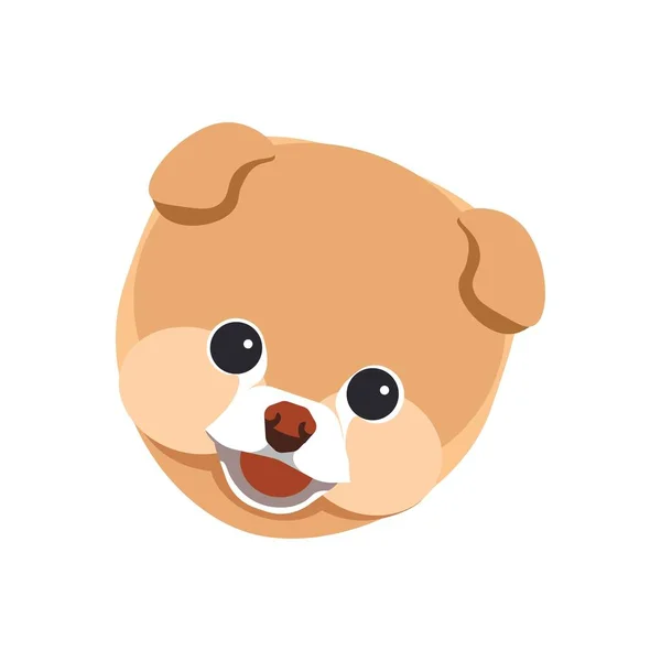 Špic Pomeranian puppy — Stockový vektor