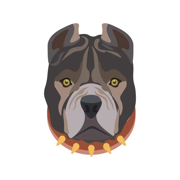 American Pit Bull en collar de perro — Vector de stock