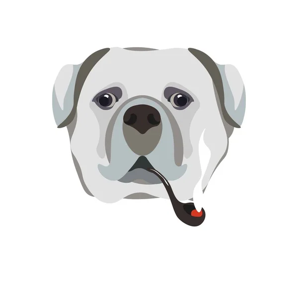 Bullmastiff breed dog with smoking pipe Stock Vector Image by ©Sonulkaster  #148313253
