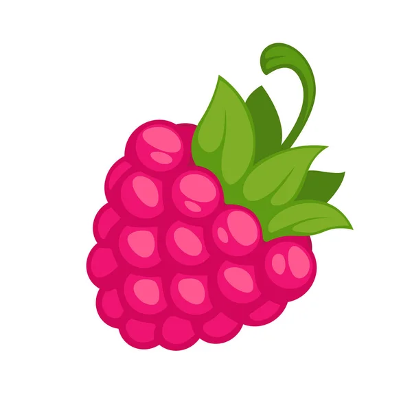 Pink wild raspberry icon — Stock Vector