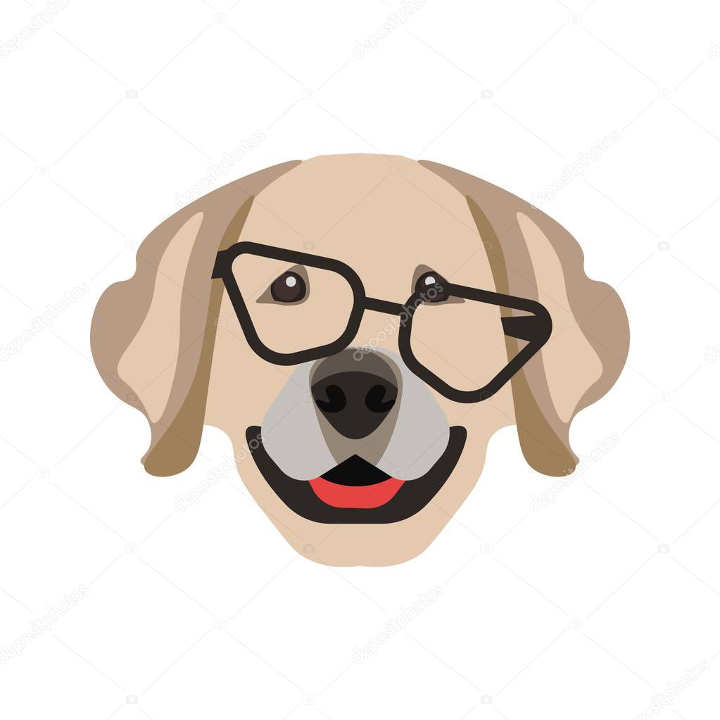 Labrador retriever dog in black glasses