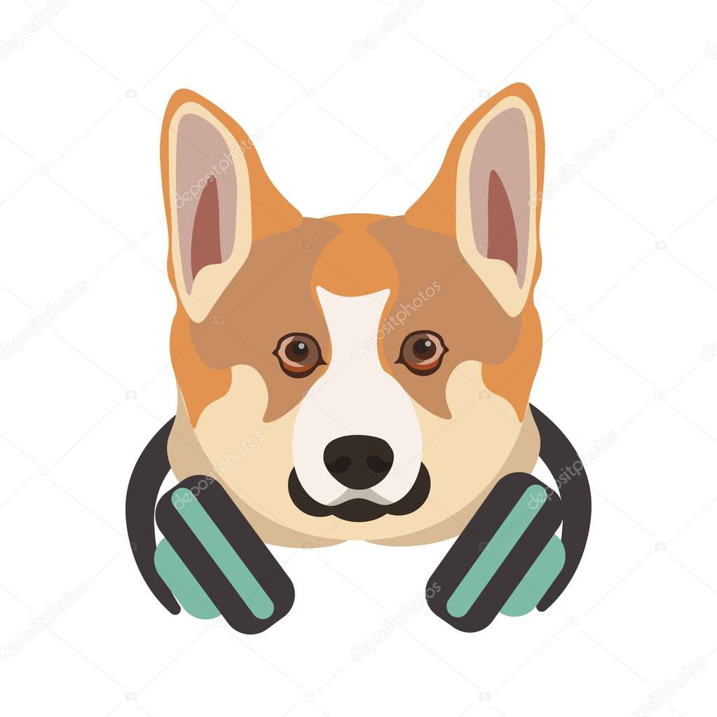 Basenji breed dog with headphones on neck