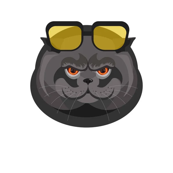 Gato preto com óculos de sol —  Vetores de Stock