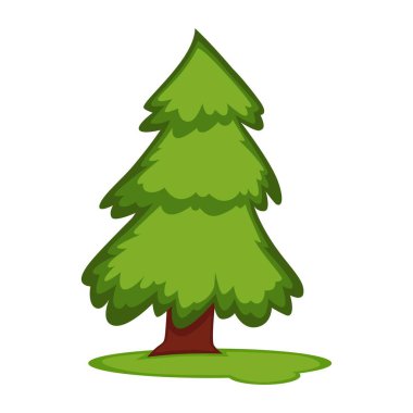 Çim parçası üzerinde uzun boylu köknar ağacı