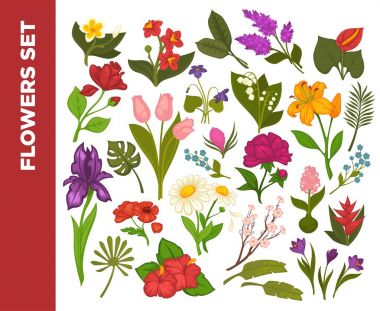 Taze çiçekler renkli poster