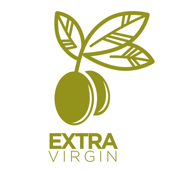 Olivový olej extra panenský logotyp — Stockový vektor