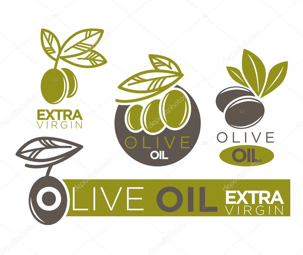 Live olive oil extra virgin flat logotypes on white. Vector illustration of company labels green and dark olivic berries with leaves near inscriptions. Healthy condiment template with set of tags