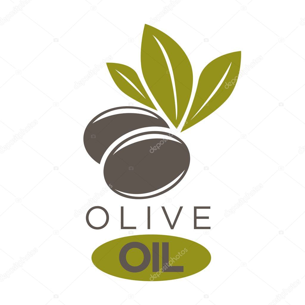 Vector illustration of company label two black olivic berries with leaves near inscriptions. Healthy condiment template with colorful sticker. Olive oil extra virgin flat logotype on white.