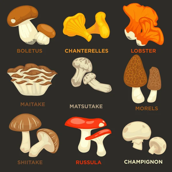 Edible mushrooms icons set — Stock Vector
