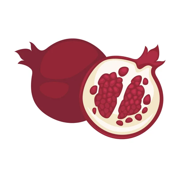 Pomegranate fruit icon — Stock Vector