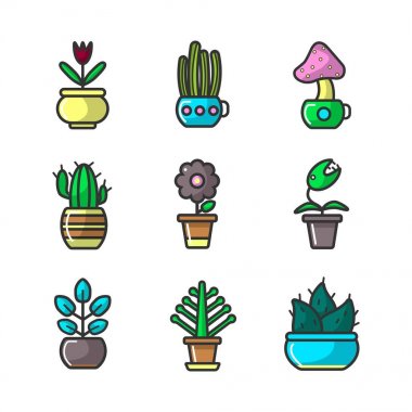 saksıda çiçekler ve bitkiler