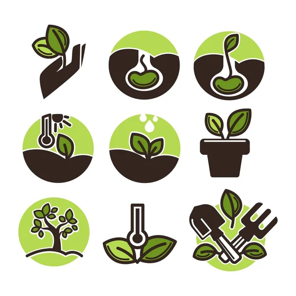 Plantas verdes em crescimento —  Vetores de Stock