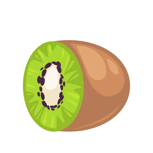 Juicy kiwifruit half — Stock Vector