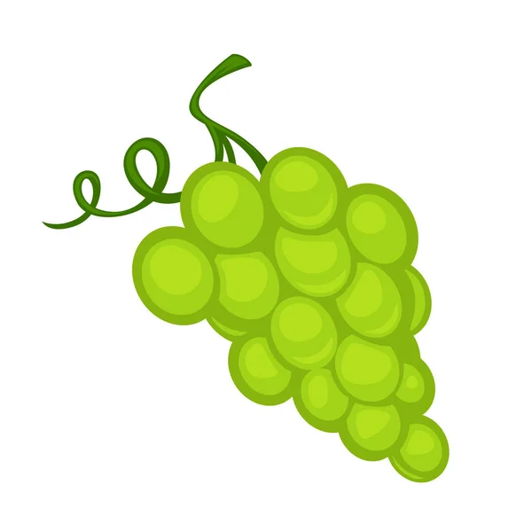 Uvas verdes frescas — Vetor de Stock