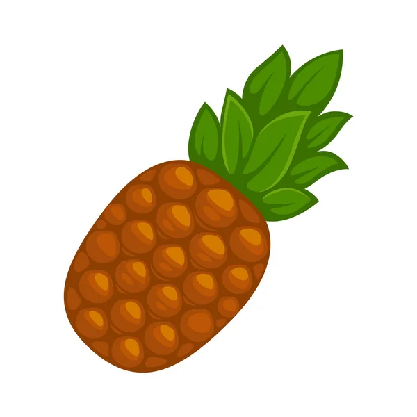 Ripe organic pineapple — Stock Vector