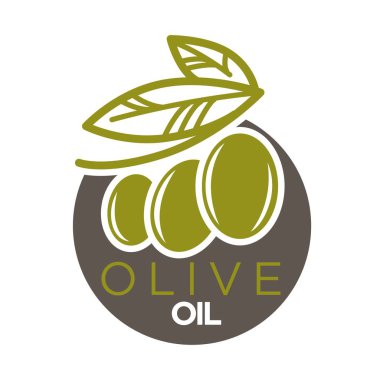 Zeytinyağı logo tasarım vektör çizim şirket etiket