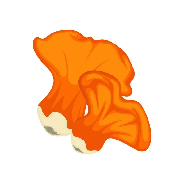 大和小橘黄色龙虾蘑菇上白色孤立 — 图库矢量图片